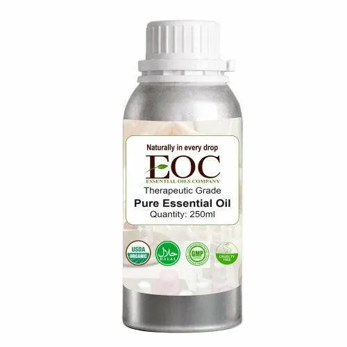 Coriander Oil