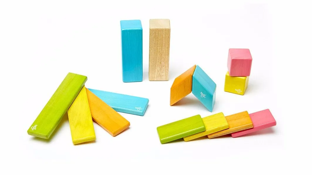 Magnetic Block Set 14 Pc Set - Tints by Tegu