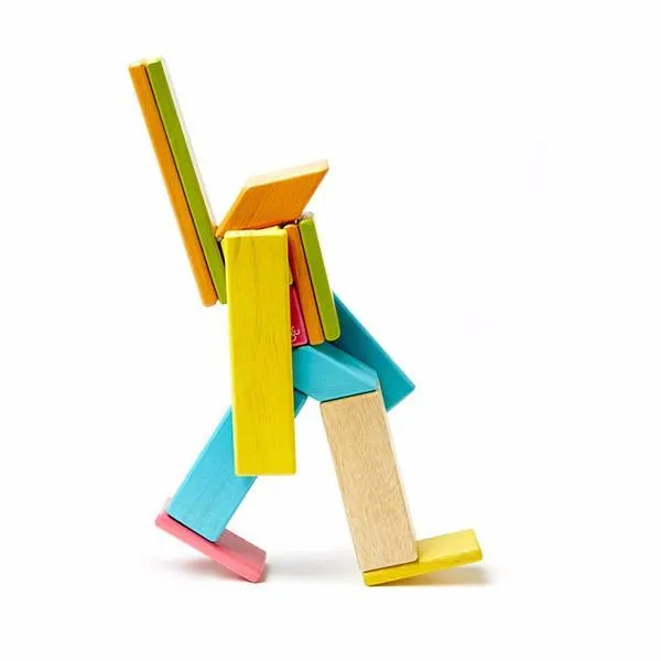 Magnetic Block Set 14 Pc Set - Tints by Tegu