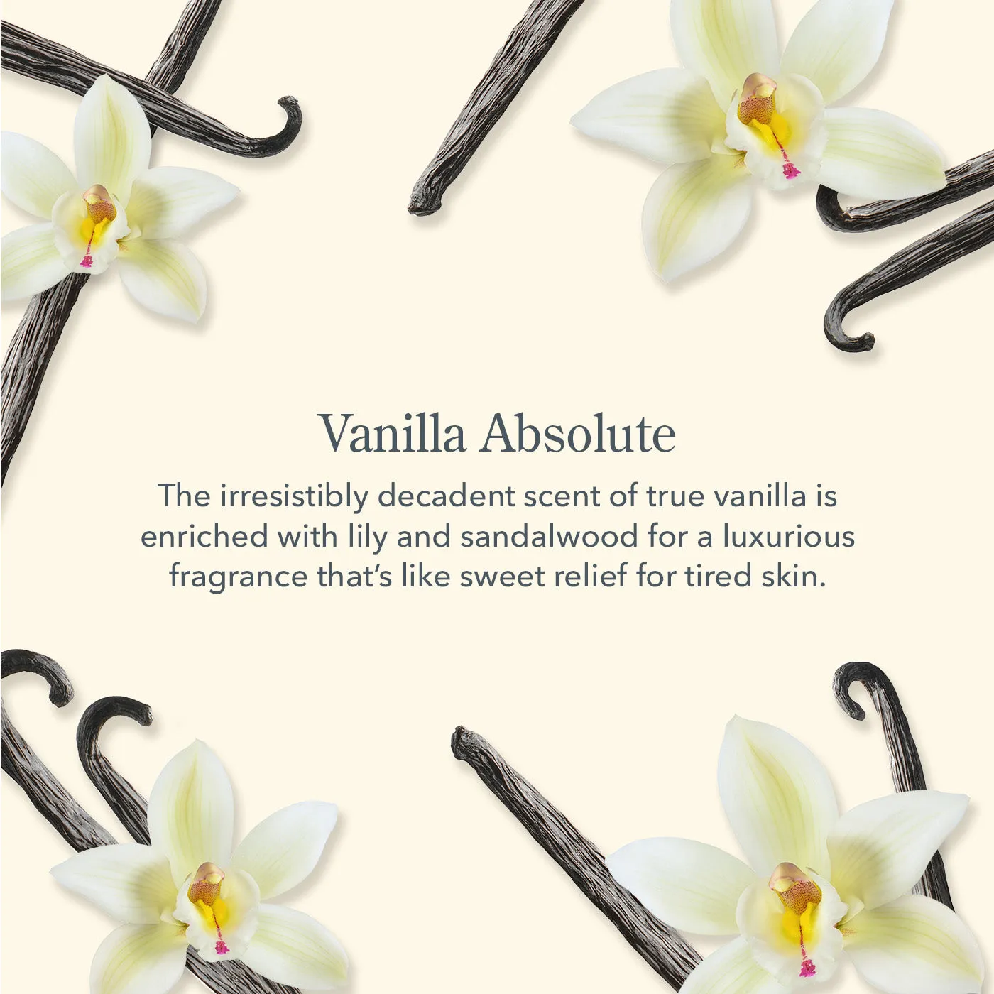Supersized Vanilla Absolute Whipped Body Cream