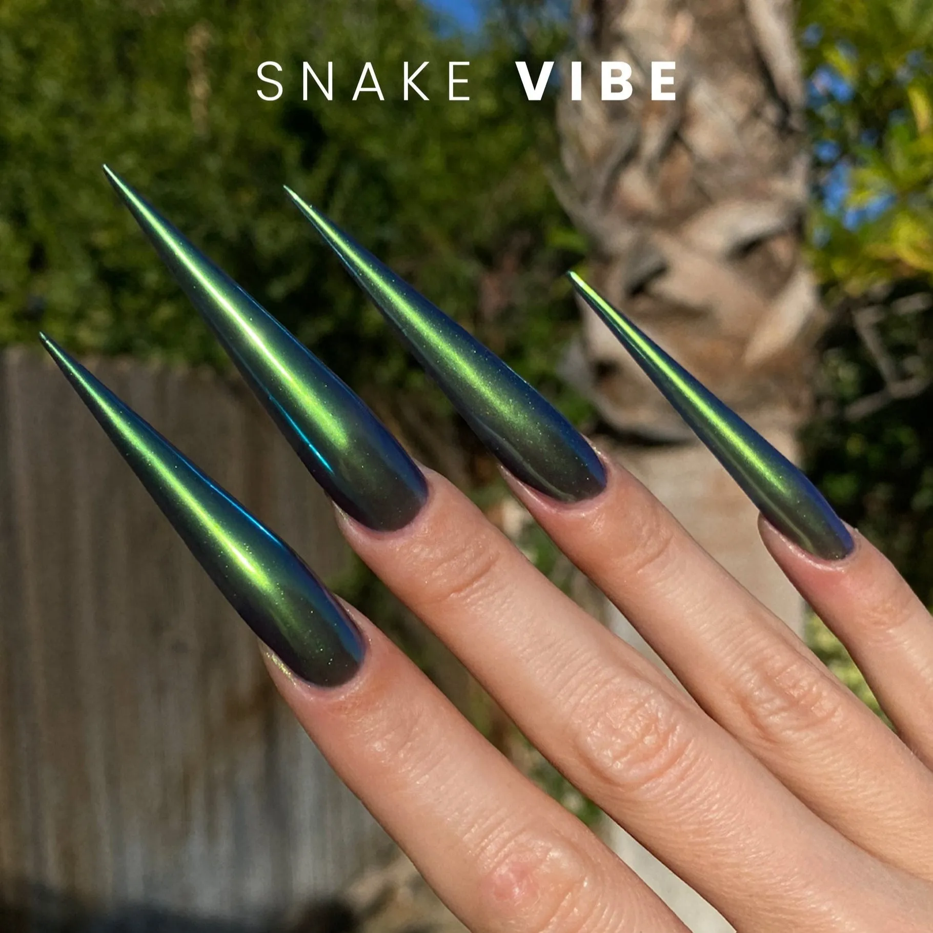 V Beauty Pure Chrome Powder - Snake Vibe